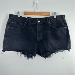 NWT Agolde Parker Vintage Cut Off Short in Theme